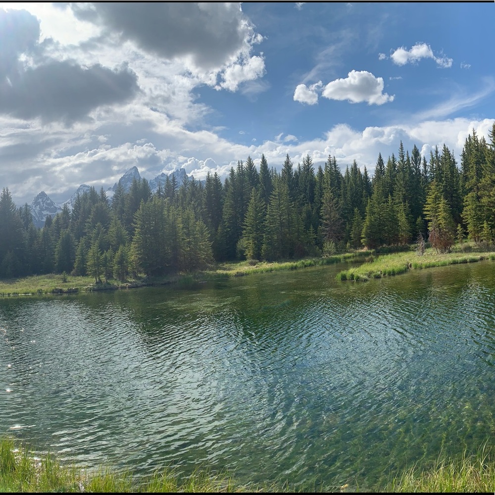 DO NOT BUY-Brandy white top